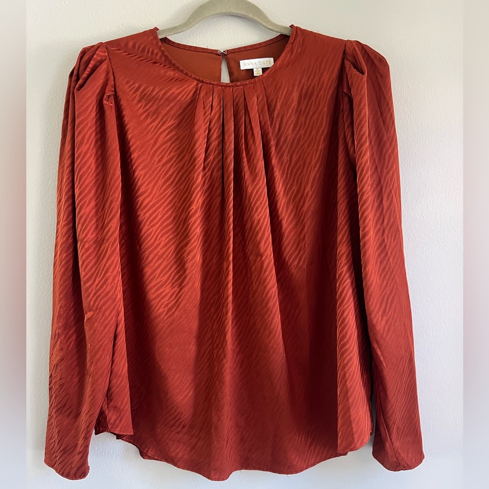 Elegant Rust Blouse